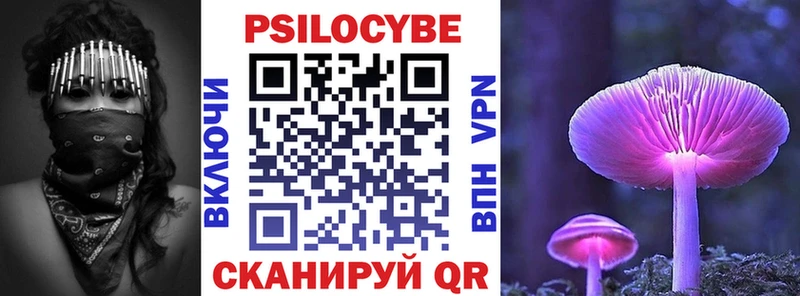 Купить закладки  Плавск  Псилоцибиновые грибы MAGIC MUSHROOMS 