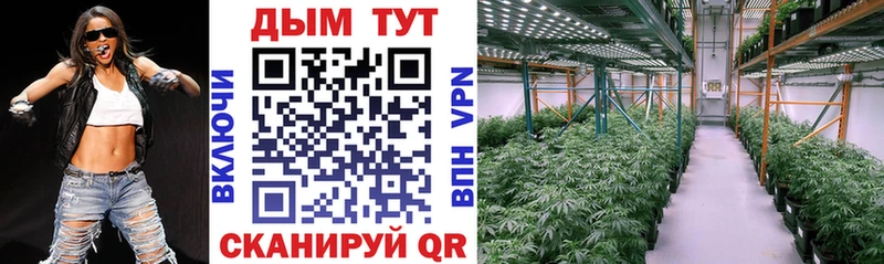 Купить закладки  Плавск  Марихуана план 